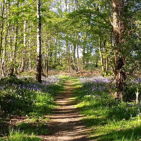 Hotel Hollicarrs - Kingfisher Acomb (North Yorkshire)