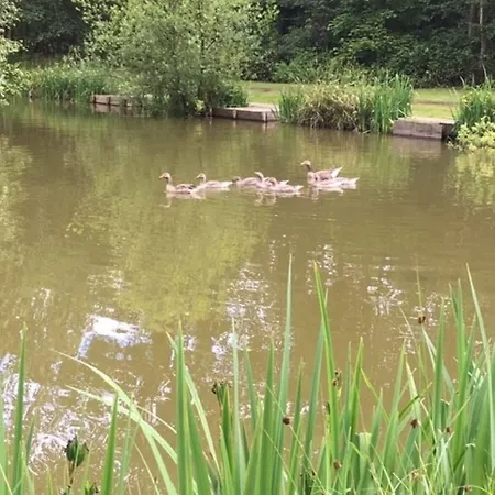 Hollicarrs - Kingfisher 3* Acomb (North Yorkshire)