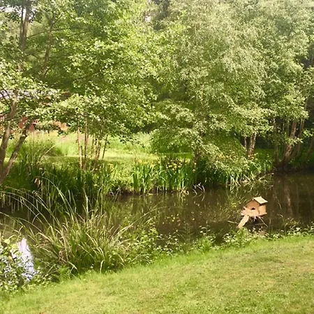 Hollicarrs - Kingfisher 호텔 Acomb (North Yorkshire)