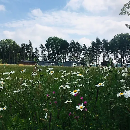 Hollicarrs - Kingfisher Acomb (North Yorkshire)