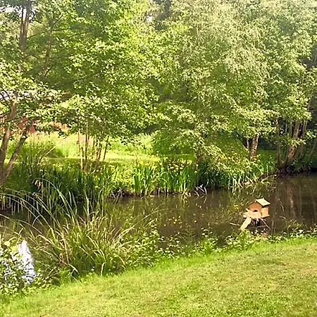Hollicarrs - Kingfisher Acomb (North Yorkshire)