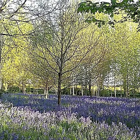 Hotel Hollicarrs - Kingfisher