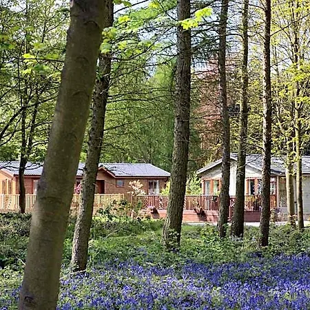 Hotel Hollicarrs - Kingfisher Acomb (North Yorkshire)