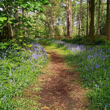Hollicarrs - Kingfisher Acomb (North Yorkshire)