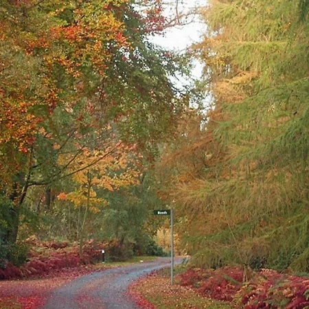 Hotel Hollicarrs - Kingfisher Acomb (North Yorkshire)